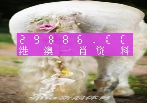 澳门最准一肖一码一码孑-2027年解答解释落实